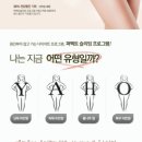 퍼펙트다이어트