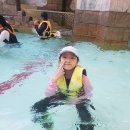 송라태권도 이미지