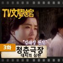 [TV문학관] 3화2부 청춘극장 : 대지의 심판 이미지