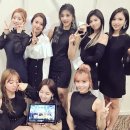 둥이마트 이미지