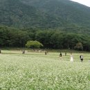 메밀꽃필무렵 이미지
