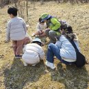 산양병설유치원 이미지