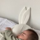 스테이리라 이미지