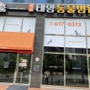 옥포태양동물병원 이미지