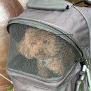 큰골식당 이미지