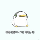 웅이네오돌뼈수원 이미지