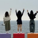제주 일일투어 택시투어 추천하는 이유 및 후기