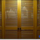 제주클래식위미 이미지