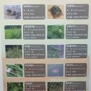 명기자동차전문정비 이미지