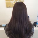 마네헤어미용실 이미지