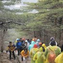 큰산장여관 이미지