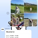 코히킴