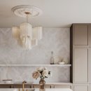 오닉스(ONYX) 이미지