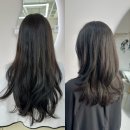 미용실] 여자 중단발 레이어드컷 잘하는 곳 리미띠에헤어 분당 판교점 주차 가격 정하디자이너 시술후기