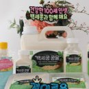 고창백련 영농조합 이미지