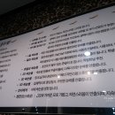 잴리뽀 속눈썹 이미지