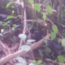 우리축산약품 이미지