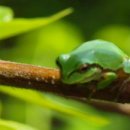 구례구역 이미지