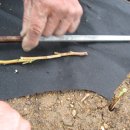 무주 농원 이미지