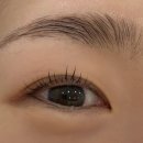 미국복권 동탄점 | 동탄 반송동 자연스러운 눈썹관리 '새로이채움' 속눈썹펌, 브로우리프트펌 후기