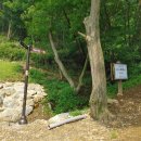 최시형 선생묘 이미지