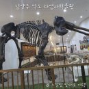 덕소자연사박물관 | 덕소 자연사박물관 남양주 아이와 주말 나들이 공룡 동물 좋아하는 아이랑 갈만한 곳