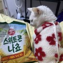 풍성가 | 🌽 [내돈내산 리뷰] 오뚜기 스위트콘 나쵸, 단짠 간식의 끝판왕! 맥주 안주로 완벽 🍺