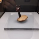 춘원당한방박물관 이미지