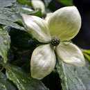 물방울공원 이미지