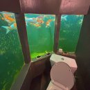 슬원수 | 태국 - 치앙마이