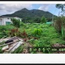 안골비디오 이미지