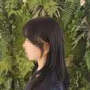 어진동세종파이낸스1차앞 | 세종 레이어트컷 잘하는 어진동 미용실 캄뷰티 보타닉가든 방문후기!