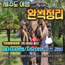 영신카랜드 | 자유 여행 관광지 여행지 맛집 일정 코스 렌트카 숙소 수영장 호텔 추천 경비 비용 가볼만한곳 후기 정리