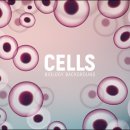 엘바이오 이미지