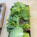 정통쌈밥 네이버블로그