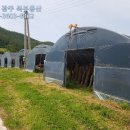 버섯공인중개사사무소 이미지