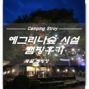 예그린펜션 | 영월 예그리나숲 캠핑장 시설과 캠핑후기