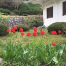 경주코튼빌리지 이미지