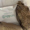 브라운콤마