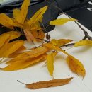 냉정 낚시터 이미지