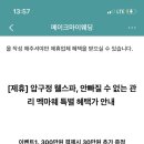 웰스시 이미지