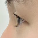 가희브로우