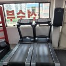 팀건복싱 이미지