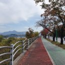 낙동강변로4-33 이미지