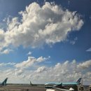 사랑이 꽃피는 민박 이미지