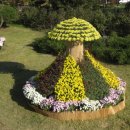 천안연암대학 이미지