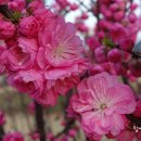 금오산길 이미지