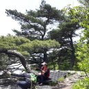 투유레지던스
