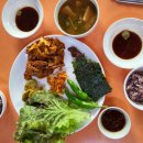 오렌지백반 이미지