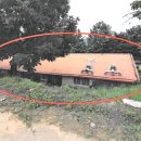 귤현역 앞 이미지